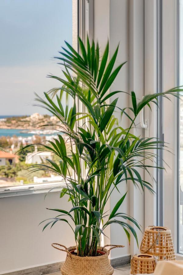 Villa Mare Syros Фінікас Екстер'єр фото